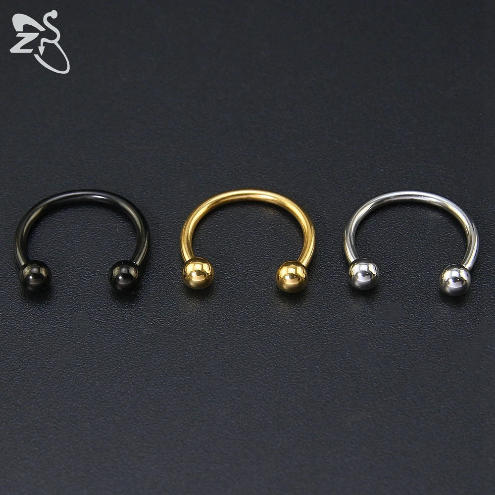 ZS Stainless Steel Nose Ring