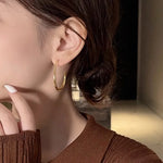 Load image into Gallery viewer, Geometric Oval Hoop Earrings
