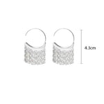 Load image into Gallery viewer, 925 Silver Dense Snake Bone Tassel Earrings
