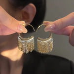 Load image into Gallery viewer, 925 Silver Dense Snake Bone Tassel Earrings
