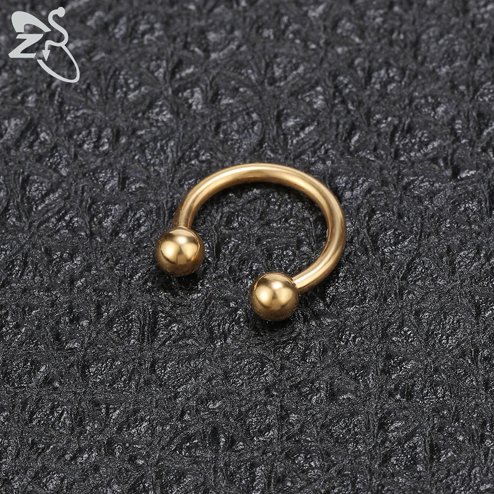 ZS Stainless Steel Nose Ring